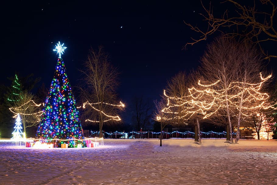 neon christmas tree, Neon, Christmas Tree, Lights, Decorations, christmas, photos, holidays, public domain, snow