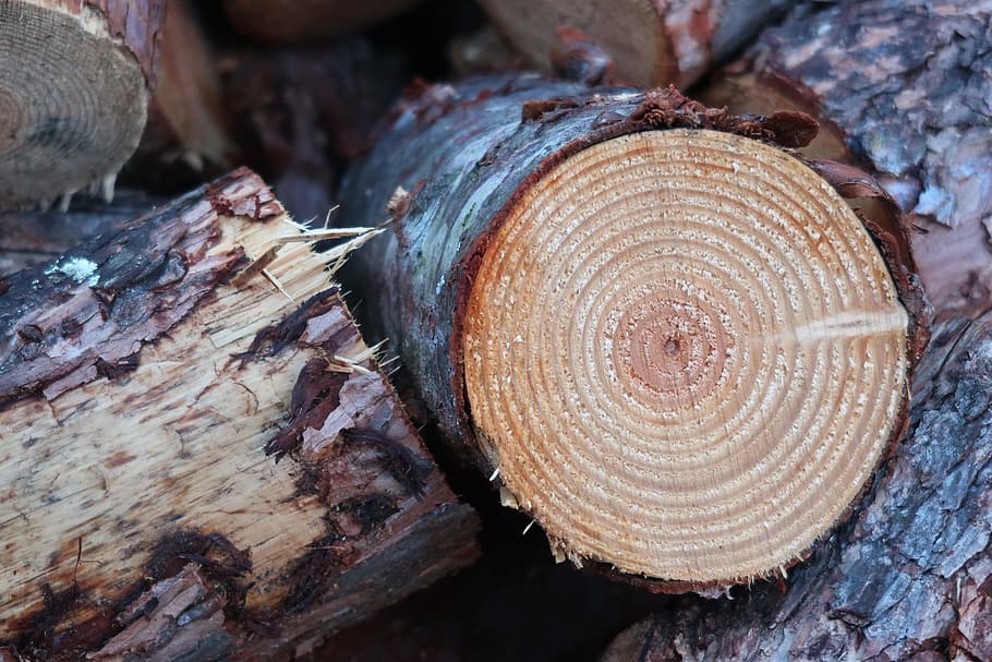 kayu, log, kayu bakar, cincin tahunan, kulit pohon, tumpukan kayu, pohon, kayu - bahan, hutan, bertekstur