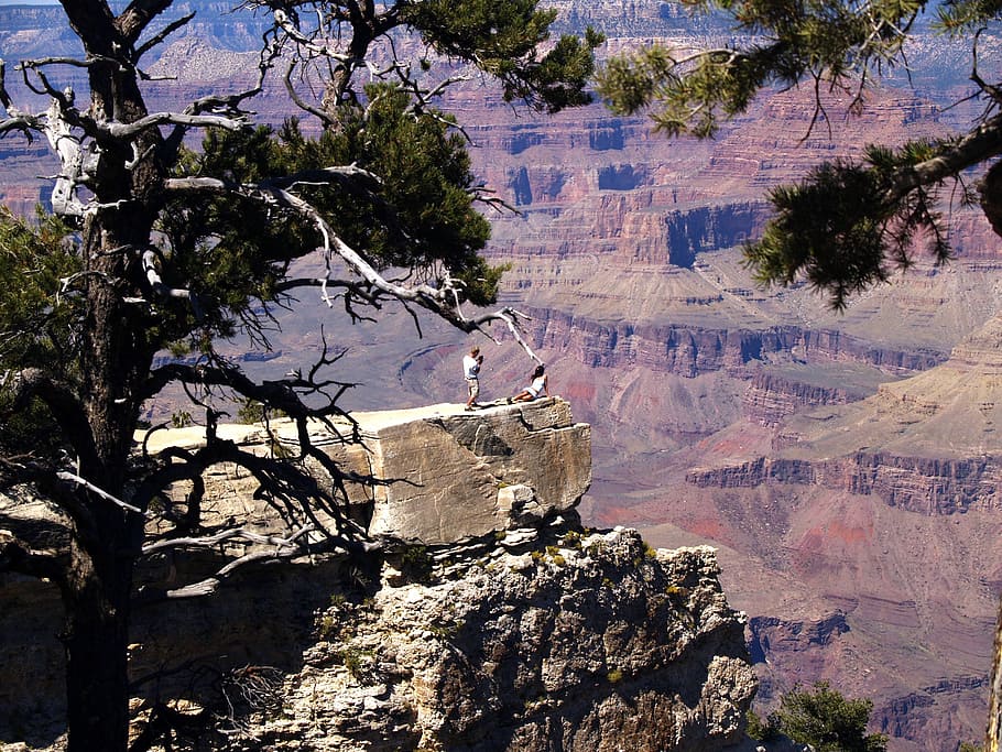 Grand Canyon, South Rim, Arizona, EUA, vermelho, rochas, árvore, ninguém, dia, natureza