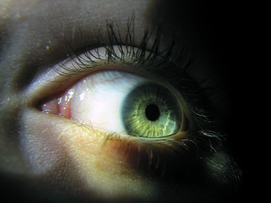 Eye, Macro, Iris, Watch, szupermakró, eyelash, skin, human eye, eyesight, eyeball
