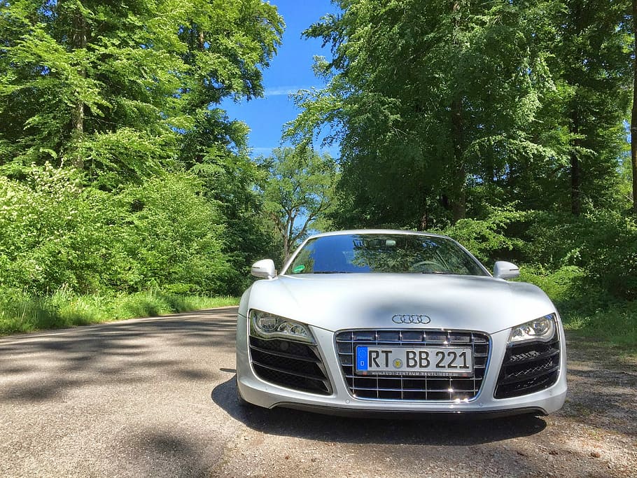 white, audi vehicle, green, leafed, trees, clear, blue, sky, daytime, Audi, R8