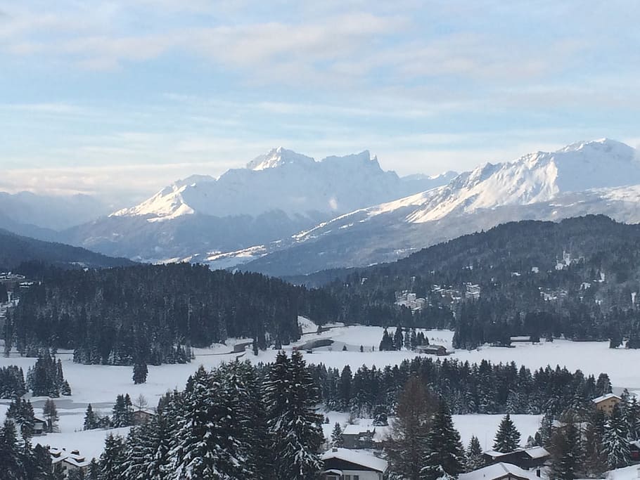 スイス, グラウビュンデン, 高山, 風景, 山, 白, 降雪, 森, 家, スキー