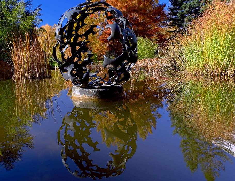 escultura, sobre, estanque, reflejo, botánica, friburgo, otoño, agua, reflexión, planta