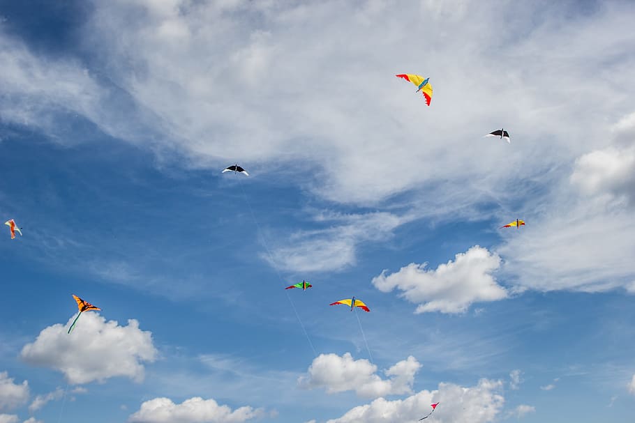 Kites, Clouds, Clear, sky, summer, carelessness, blue, snakes, weather, air