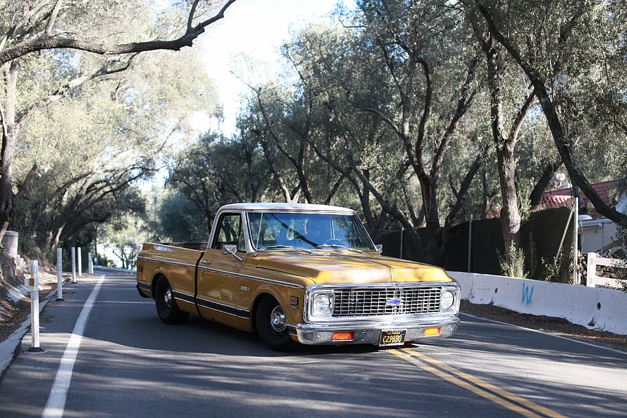Chevrolet C10, coche, coche clásico, 1972, árbol, transporte, día, al aire libre, ciudad, ninguna gente