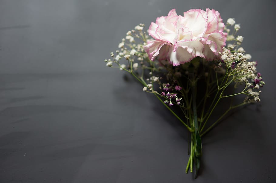 rosa, blanco, flores, pizarra, aliento de bebé, clavel, floral, encantador, verde, ramo