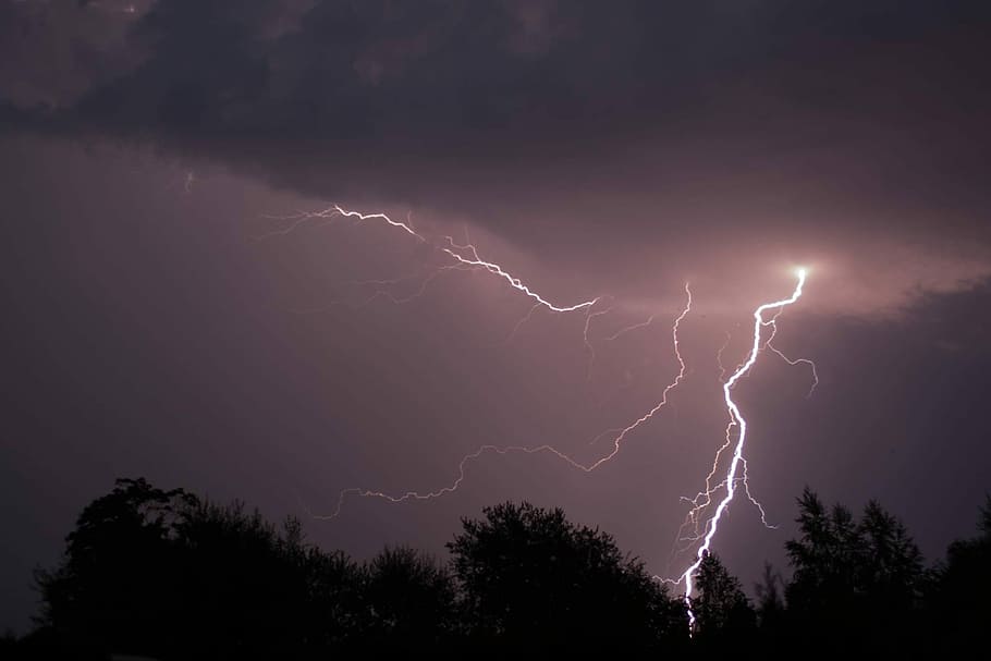 lightning, struck, trees, Flash, Thunderstorm, Summer, summer thunderstorm, flash of lightning, lightning weft, sky