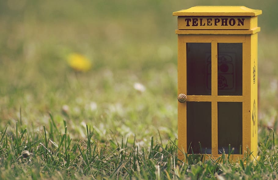 yellow telephone booth, phone booth, call, phone, communication, message, make the call, plant, grass, text