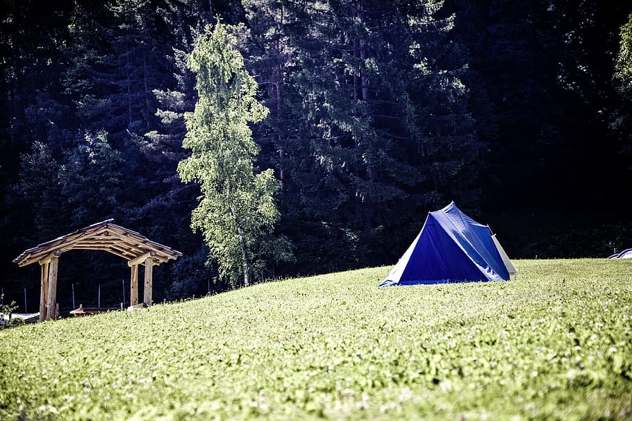 tenda, kamp, ​​berkemah, liburan berkemah, akomodasi, hutan, petualangan, Outdoor, alam, tempat perkemahan