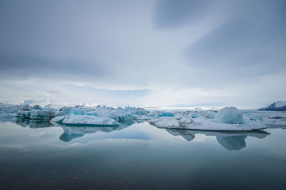 ice burg, water, daytime, ice, glacial ice, iceland, glacier, cold, icy, blue