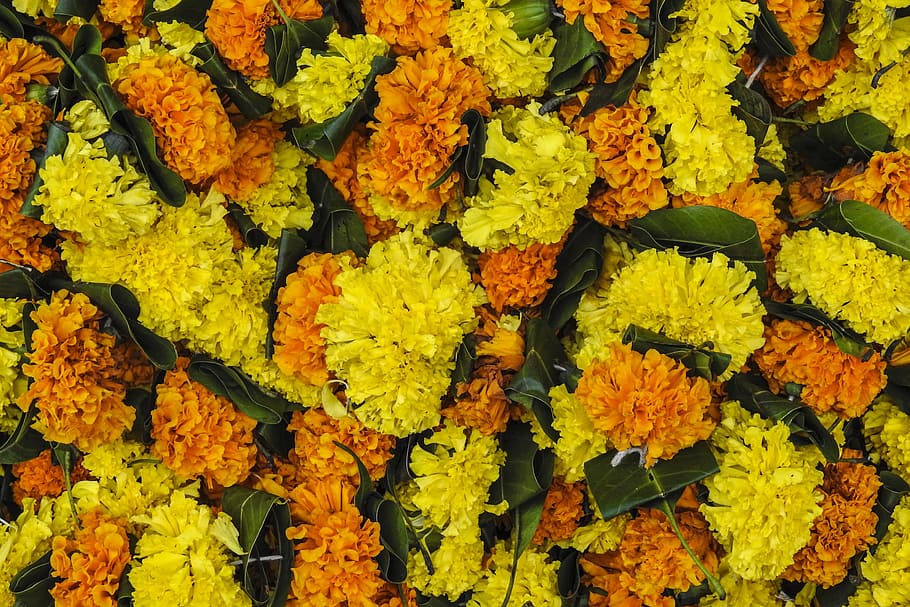 flowers, festival, indian, garland, colourful, yellow, marigold, flower, high angle view, market