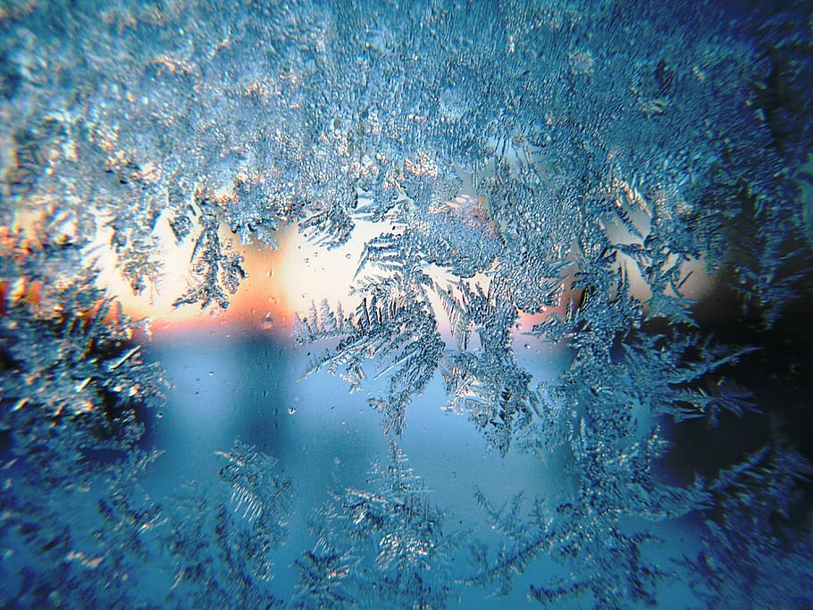 close, snowflakes, frost, winter, morning, snow, season, white, holiday, christmas