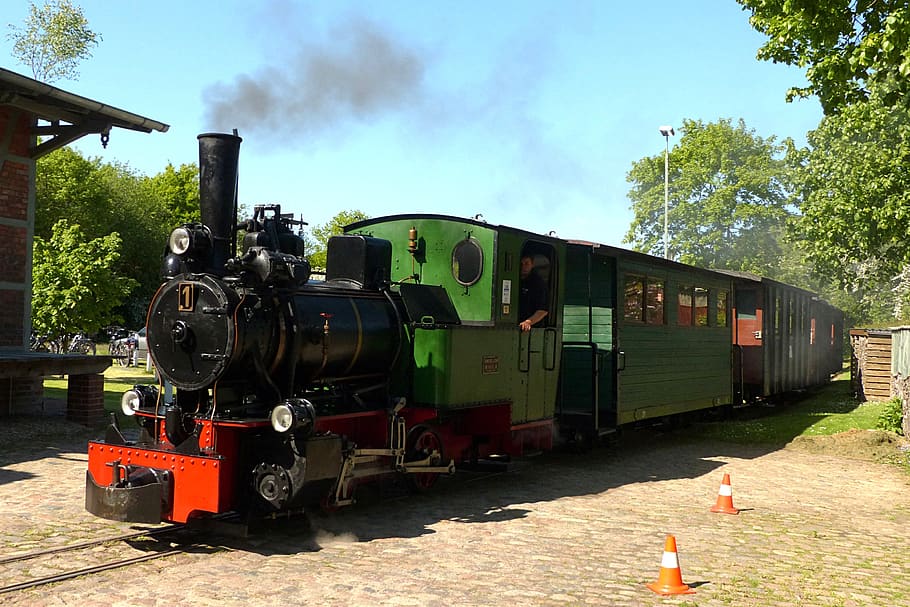 locomotive, steam locomotive, born in 1927, rail transportation, tree, train - vehicle, train, nature, plant, transportation