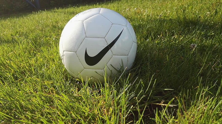 football, the pitch, waist, the ball, grass, ball, soccer, soccer ball, sport, team sport