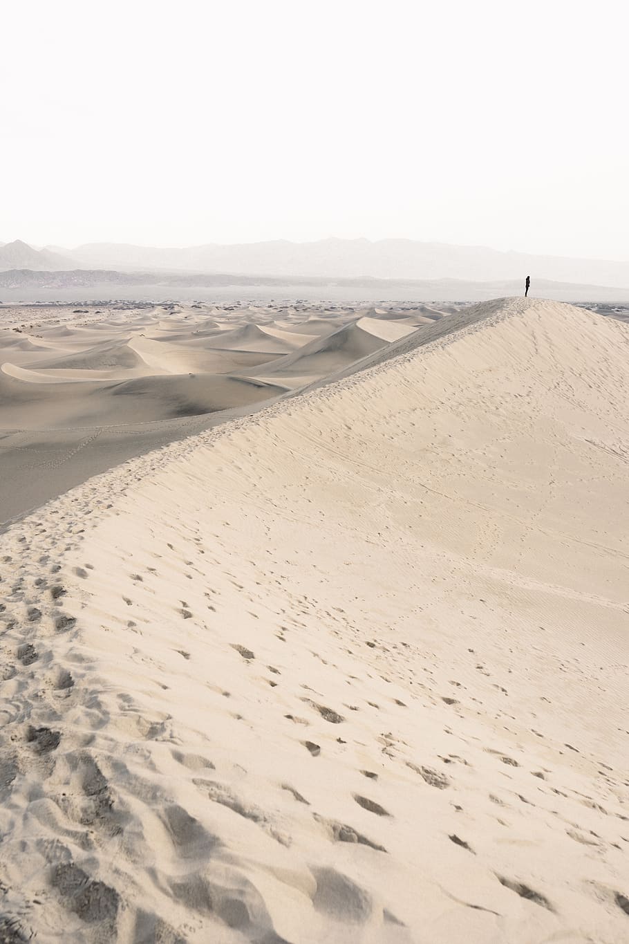 orang, pria, sendirian, perjalanan, petualangan, gurun, langkah kaki, alam, tanah, pasir
