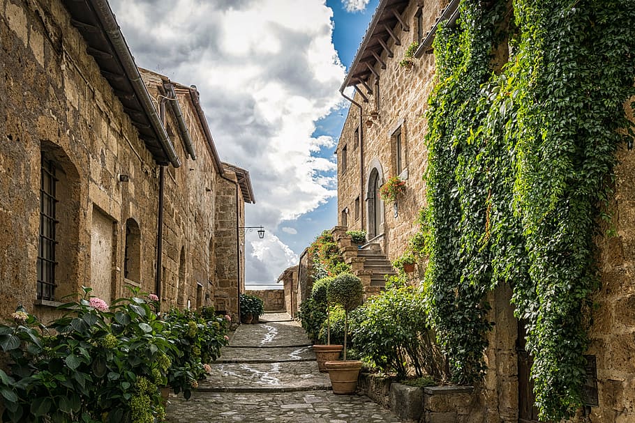 brown concrete houses, alley, road, middle ages, ivy, mediterranean, still, still life, patch, stones