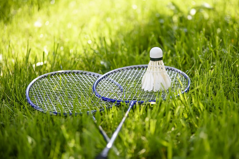 two, blue-and-white badminton rackets, shuttlecock, grass, babington, game lounge, active holidays, adopt a garden, summer, dart