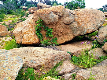 Royalty Free Pink Granite Photos Free Download Pxfuel