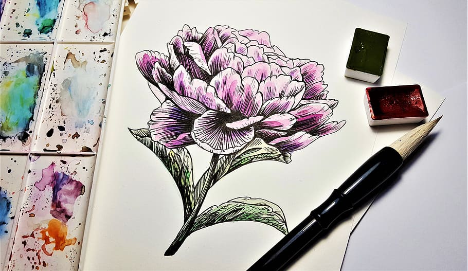 brown, black, paintbrush, pink, white, petaled flower sketch paper, two, red, color paints, painting