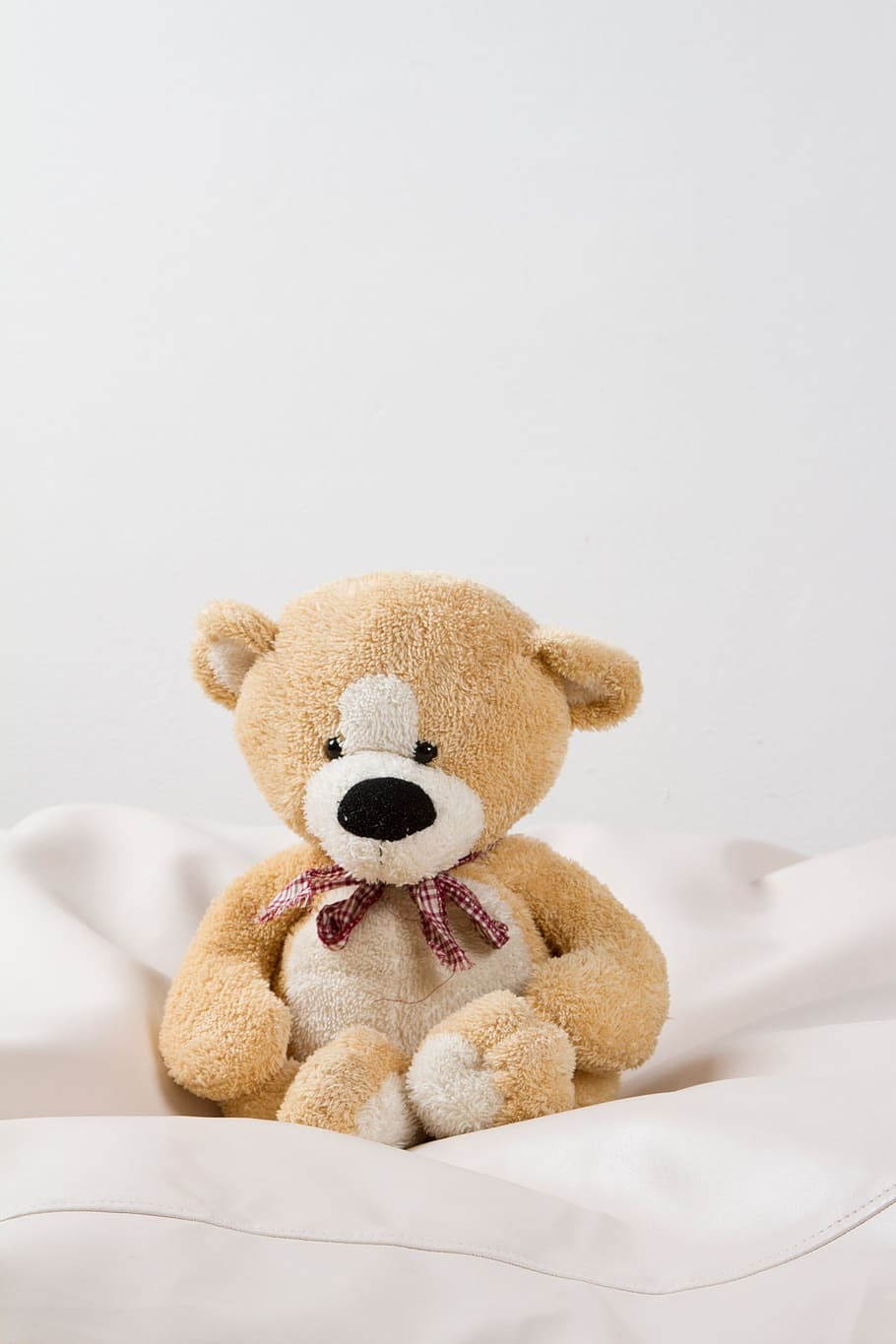 brown, bear, plush, toy, teddy, cuddly, baby, child, children, toy shop