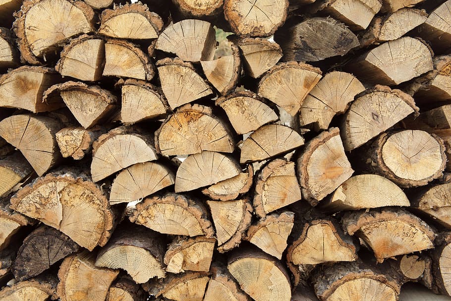 file, kayu api, kayu, log, kayu bakar, juga jelas merasakan, bahan bakar, zona tahunan, tanaman, pola