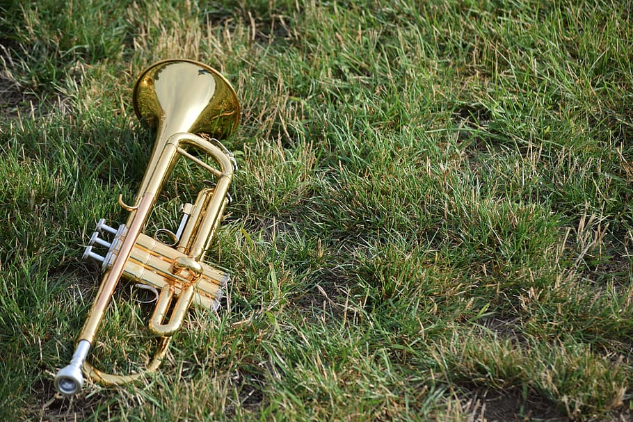 금관 악기 트럼펫, 잔디, 음악, 악기, 뿔, 놋쇠, 밴드, 행진, 필드, 트럼펫