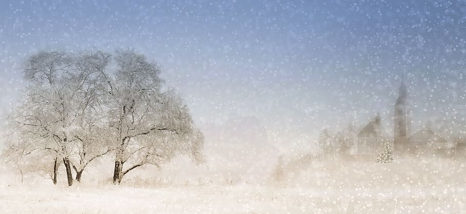 invierno, navidad, nieve, diciembre, copos de nieve, blanco, frío, tiempo de navidad, invernal, nevado