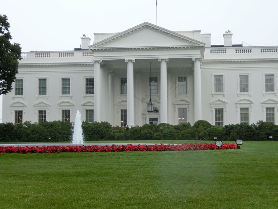 rumah putih, amerika serikat, amerika, presiden, washington, tempat menarik, kepala negara, arsitektur, washington DC, rumput
