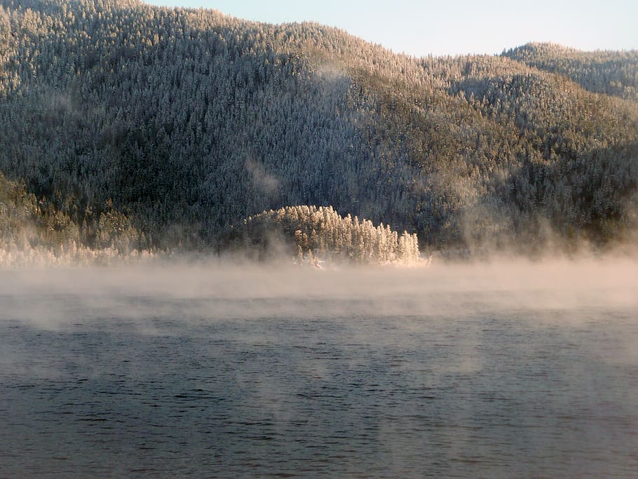 カニム湖, ブリティッシュコロンビア州, カナダ, 水, 冬, 早朝, 蒸気, 寒さ, 雪, 風景