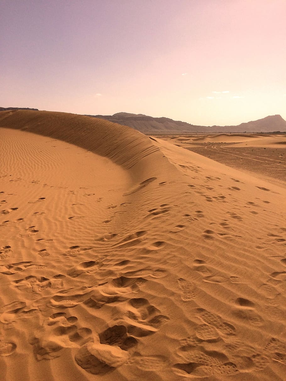 sahara desert, sahara, sand, landscape, dry, hot, dune, dunes, africa, travel