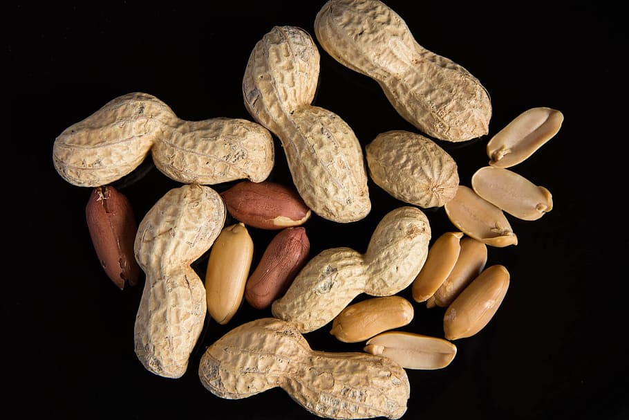 Peanuts, Food, Eat, black background, seed, close-up, brown, nature, food And Drink, nut - Food