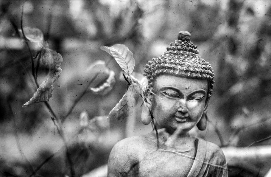 grayscale photo, buddha statue, buddha, leaf, meditation, spiritual, mantra, sacred, buddhism, oriental
