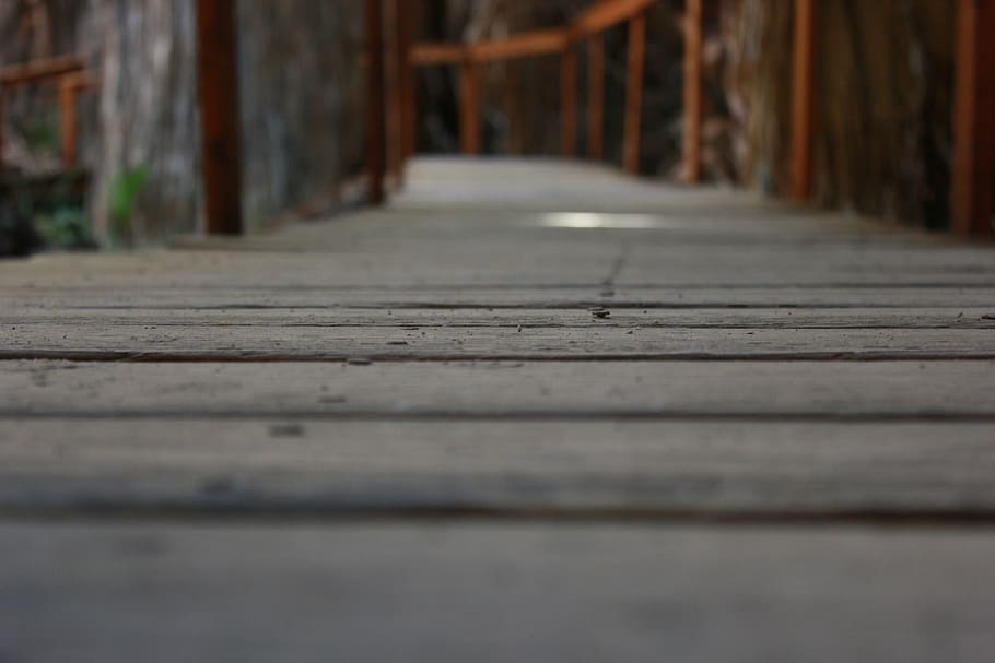 the path, way, footbridge, wooden bridge, wood - material, architecture, selective focus, the way forward, surface level, direction