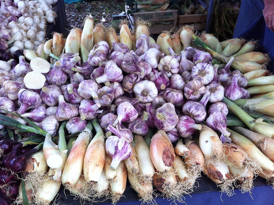 onion, garlic, food, delicious, healthy, eat, market, freshness, food and drink, retail
