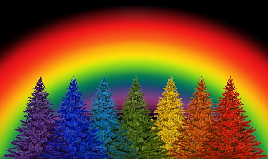 multicolored trees illustration, christmas, colorful, rainbow colors, advent, rainbow advent of time, tree decorations, christmas tree, decoration, december