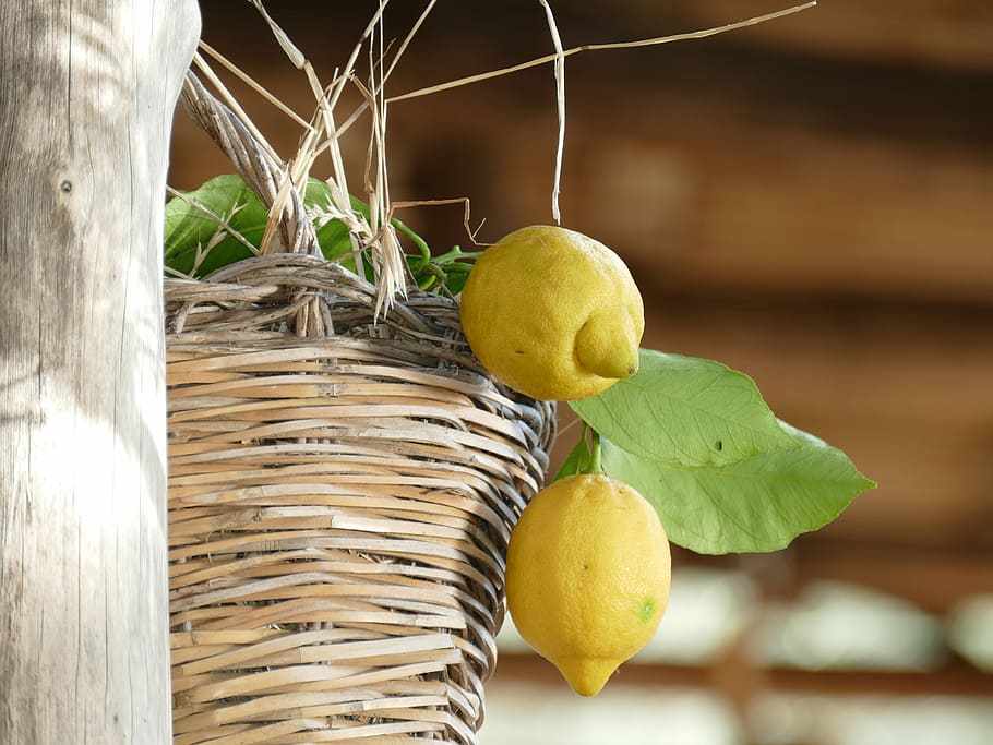 lemon di atas keranjang, makanan, kayu, buah, daun, alam, lemon, sorrento, makanan sehat, makanan dan minuman