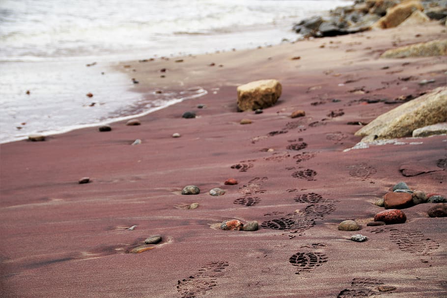 sea, beach, coast, sand, violet, red, tracks, prints, tinged, stones