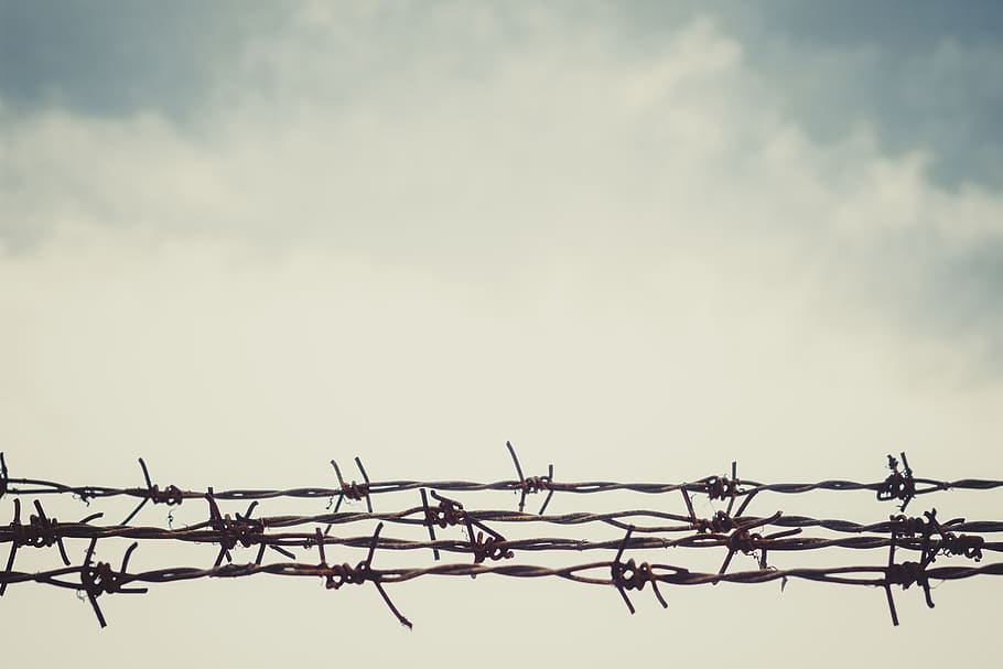sky, barbed wire, fence, blue, nature, landscape, clouds, summer, fenced, dom
