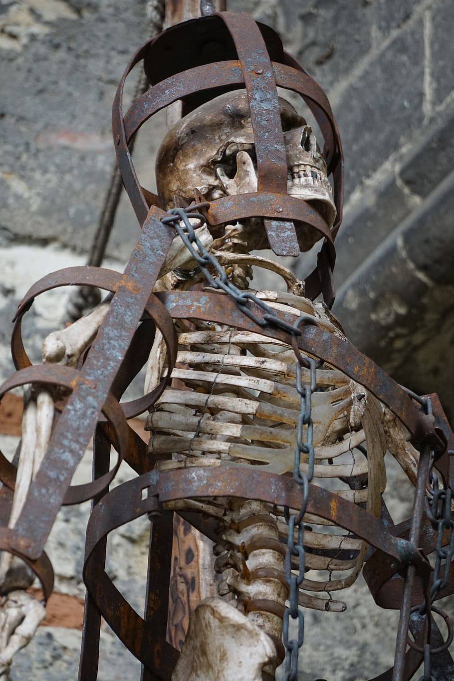 skeleton, cage, sternum, design, human, structure, rip, bone, art, anatomical