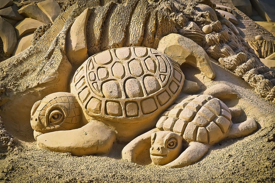 foto, pasir kura-kura, ukiran, sandburg, seni, patung pasir, patung, pasir, gambar pasir, karya seni