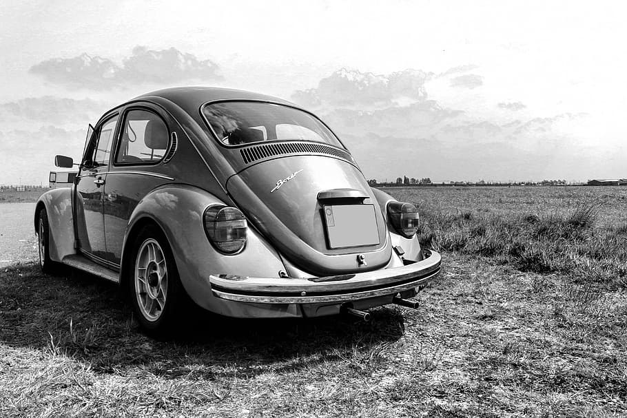 foto grayscale, volkswagen beetle coupe, volkswagen, beetle, bug, hitam putih, alam, oldtimer, bersantai, belanda