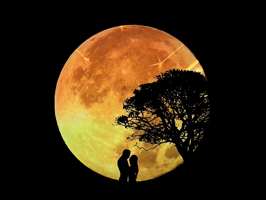 silhouette, couple, full, moon, lovers, pair, moonlight, romance, love, together