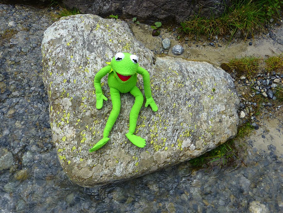 Page 3 Royalty Free Kermit The Frog Photos Free Download Pxfuel