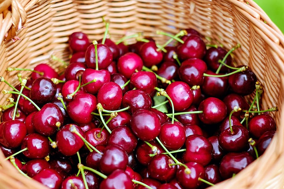 marrón, cesta de mimbre, cereza, frutas, cerezas, cerezas dulces, rojo, fruta, saludable, cesta