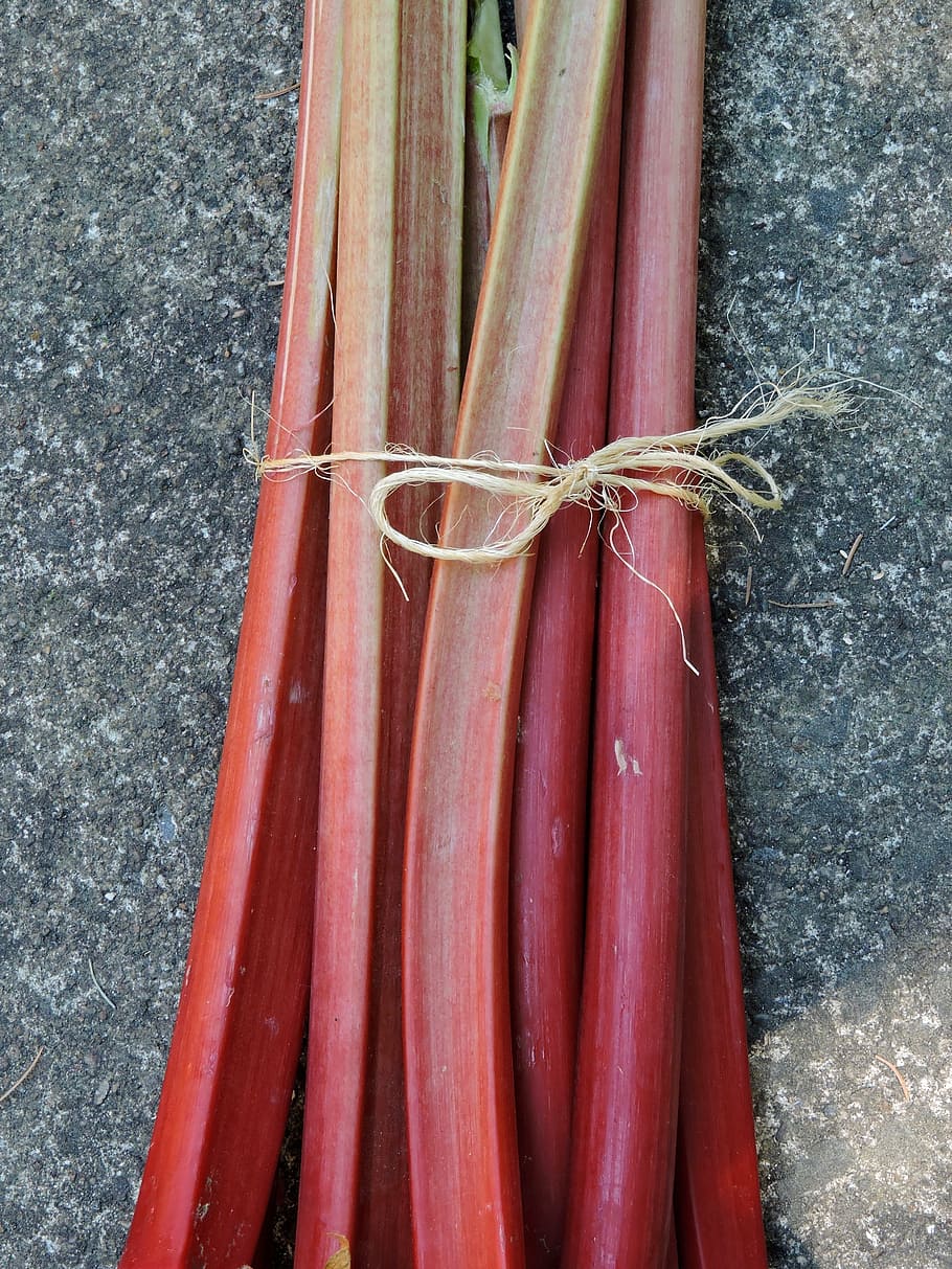 rhubarb, red rhubarb stems attached, edible plant, tied up, day, red, high angle view, food, close-up, vegetable