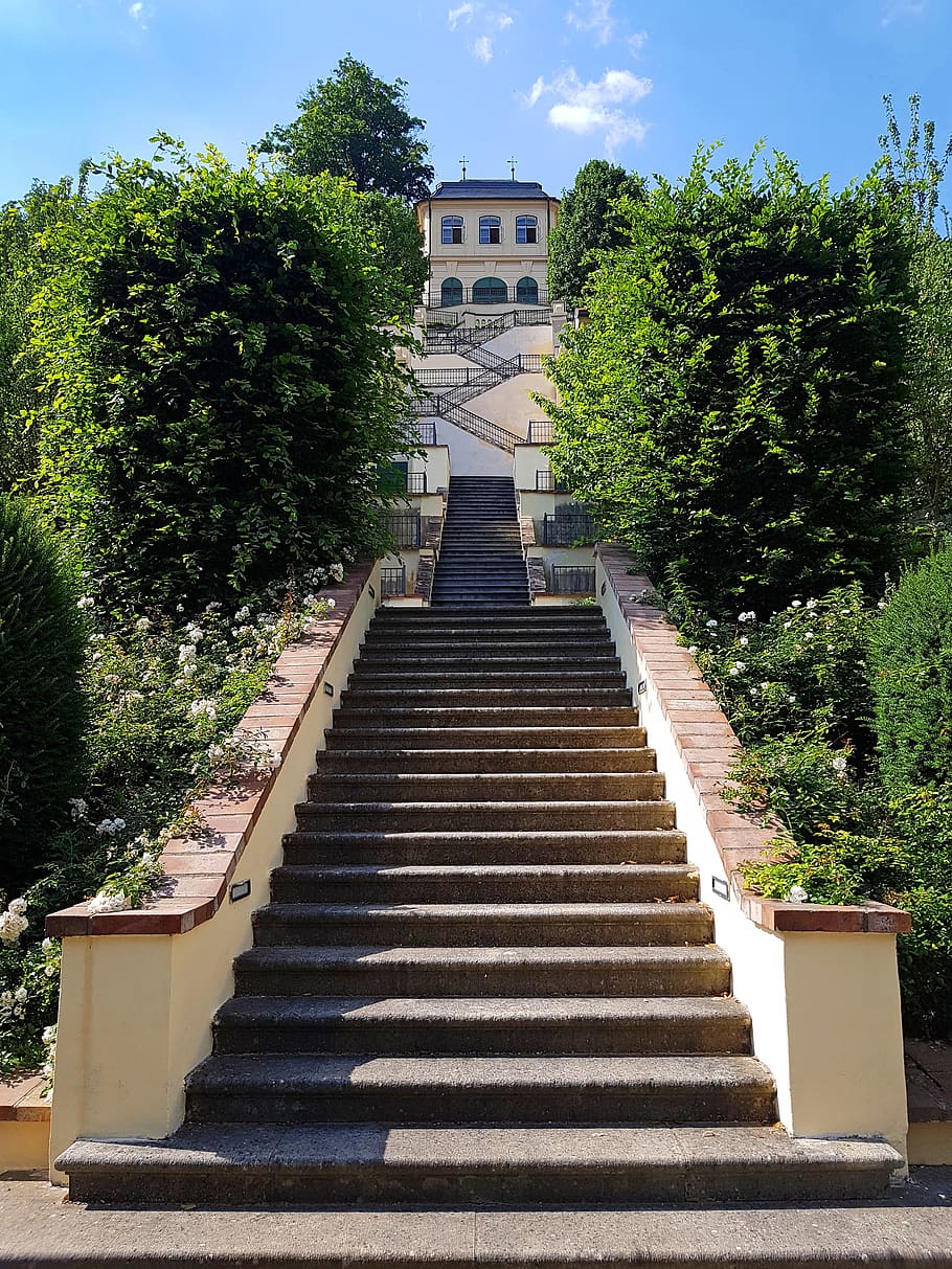 garden, prague castle, stairs, sights, baroque, staircase, prague, architecture, built structure, tree