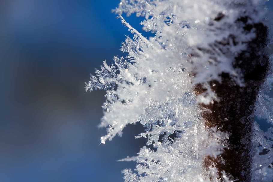 flocos de neve, macro shot photography, geadas, inverno, neve, frio, transição, congelados, açúcar, cristais