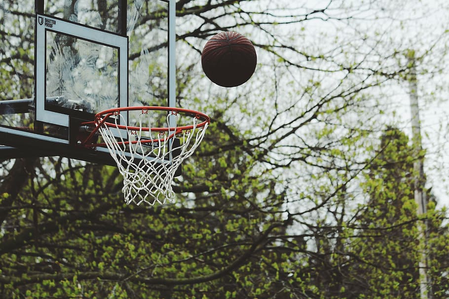 bola basket, cincin, siang hari, hijau, pohon, tanaman, alam, luar, bola, bermain