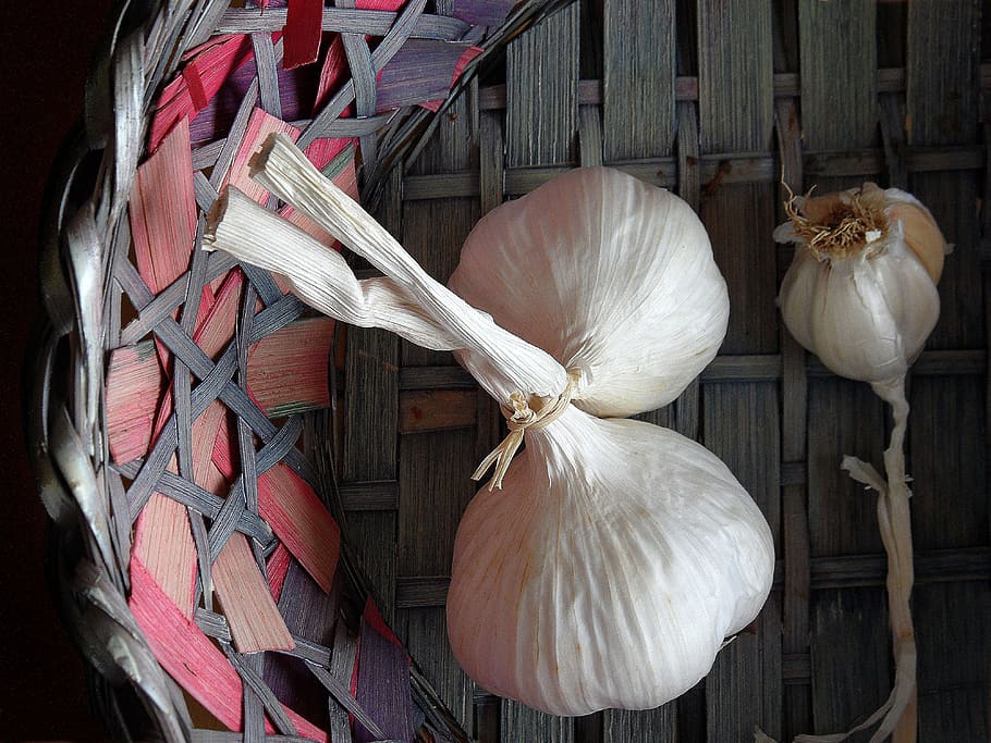 garlic, trash, food, aromatic, white, nature, food and drink, vegetable, wellbeing, freshness