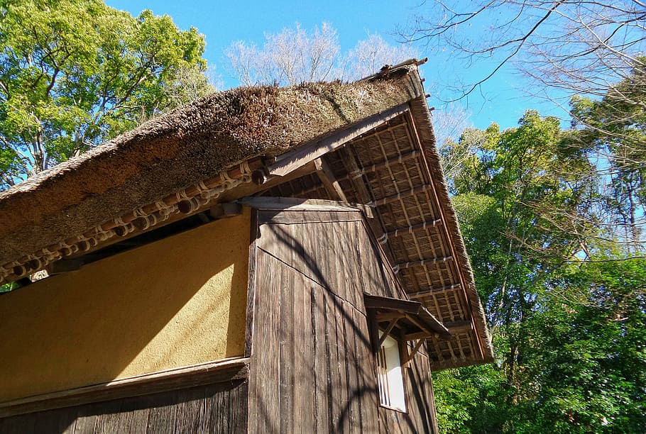 japanese, traditional, house, japan, blue, sky, hut, ancient, home, straw